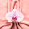 Pink soft tissue in the form of female genital organs, vulva and labia, vagina concept with delicate flower. High quality photo